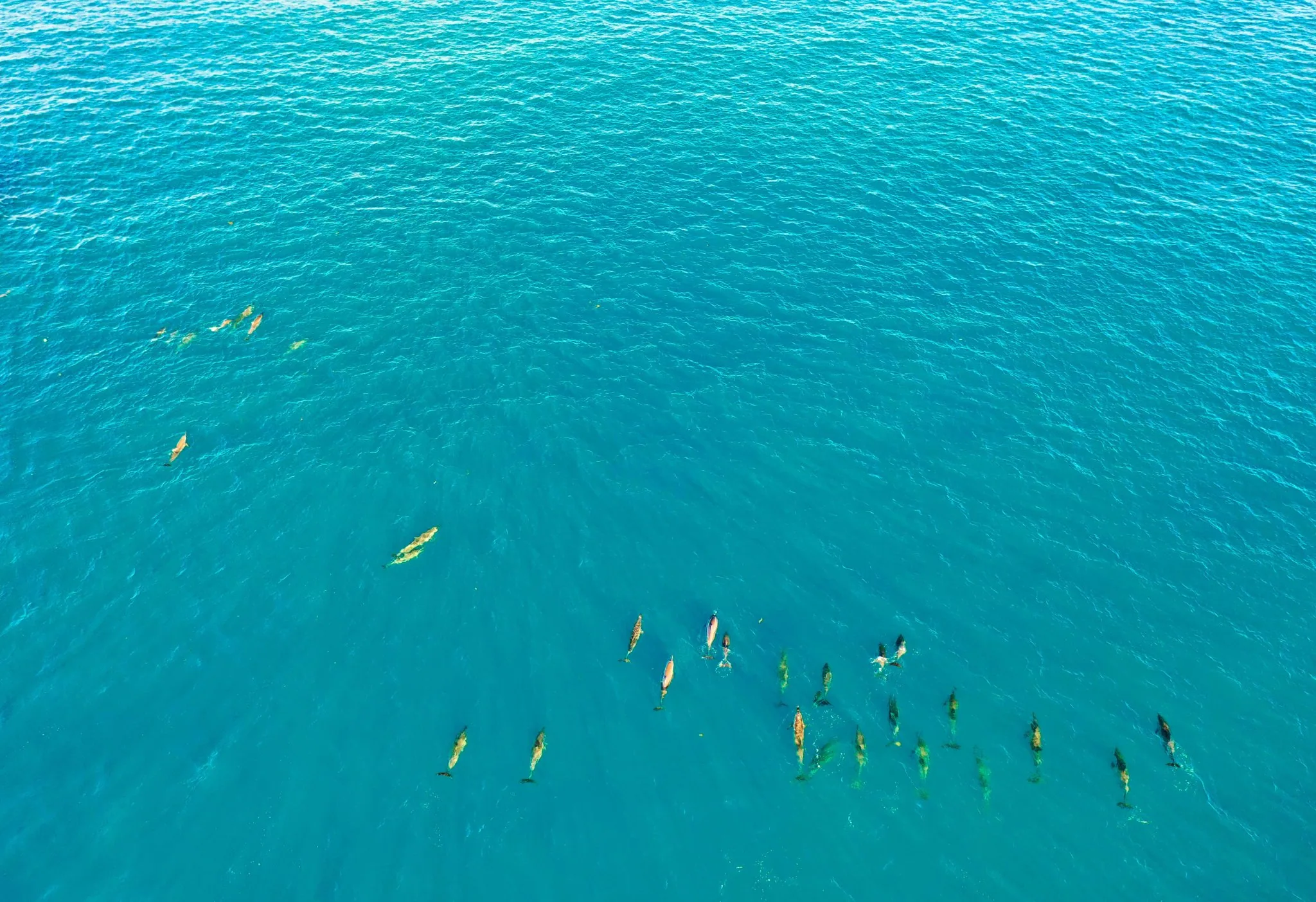 Mauritius Experiences: How to Choose the Right Nature-Led Days for Your Trip