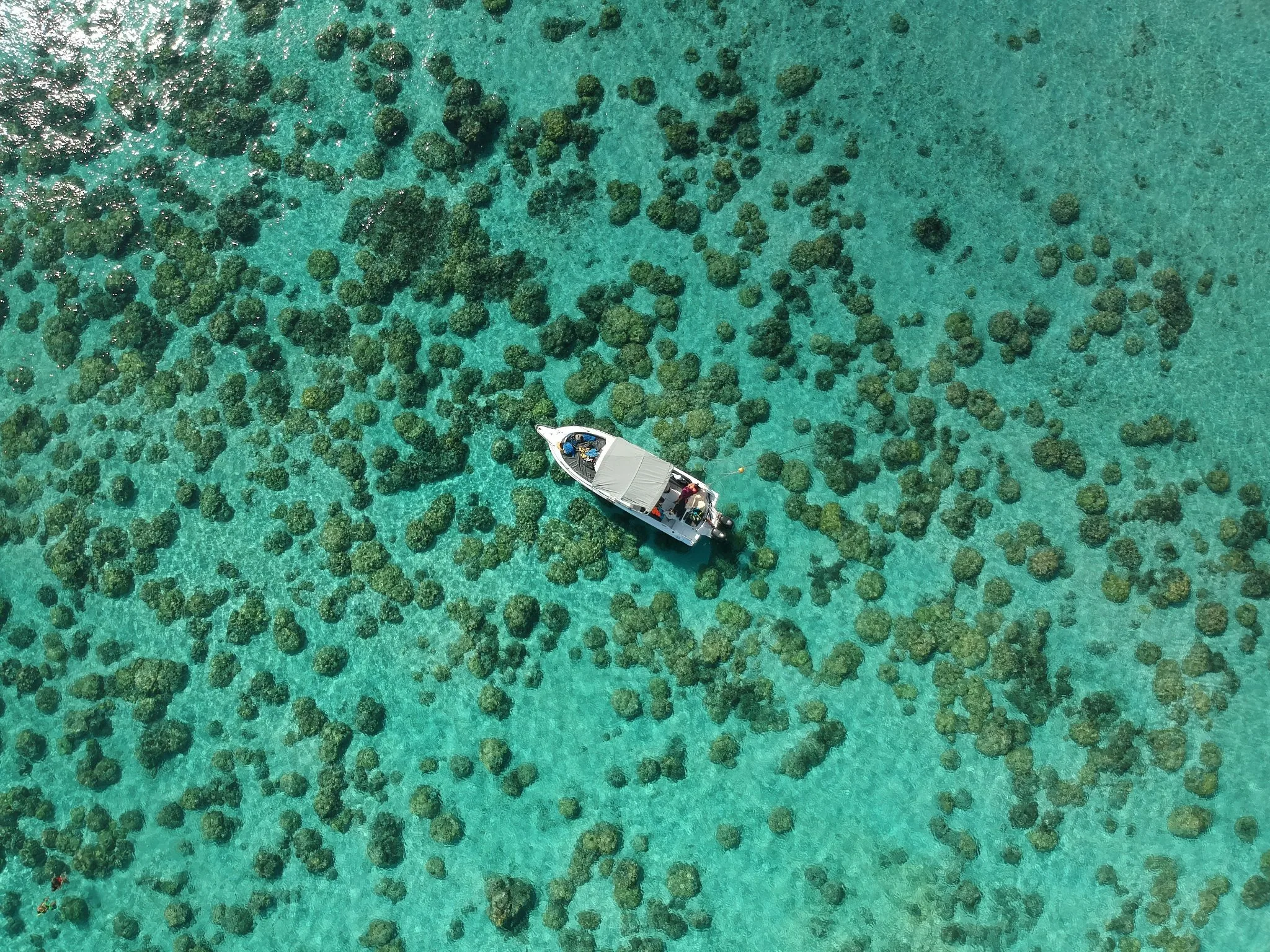 Mauritius Travel Planning: How An Deor Shapes a Nature-Led Island Journey